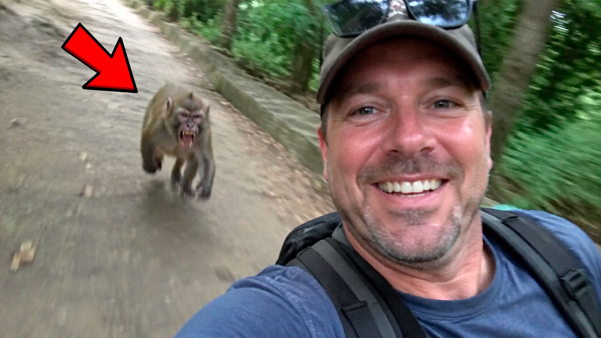 19 rude people who got instant karma from animals!