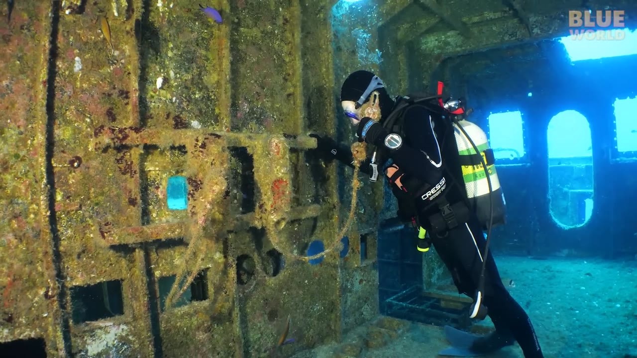 Divers swam through a navy ship prepared for exploration - then found a ...
