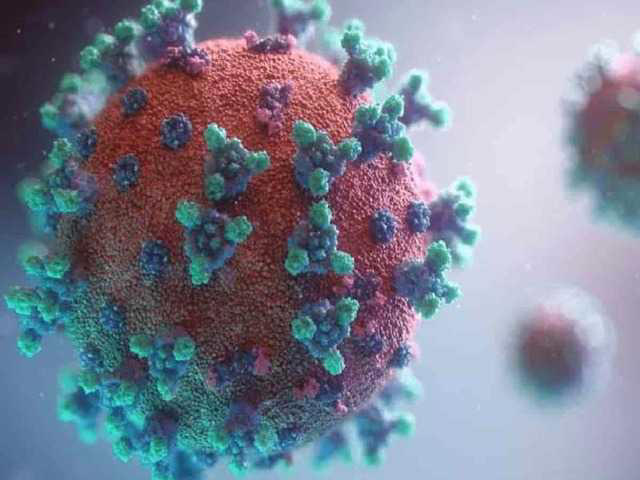New Covid wave as XFG variant sparks global surveillance: WHO urges ...