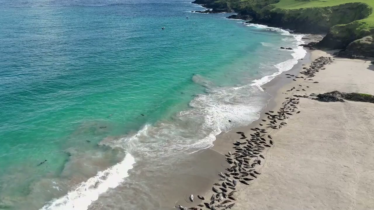 Great Blasket Island, Ireland: Drone views of rugged cliffs and wild ...