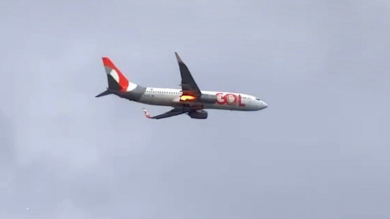 Flames shoot from jet engine after bird strike forces emergency landing