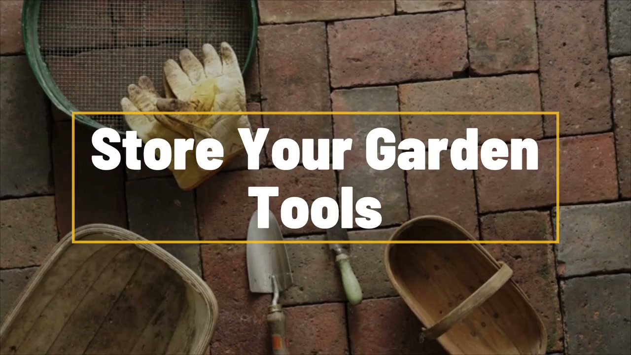 5 things you should do in your yard every fall