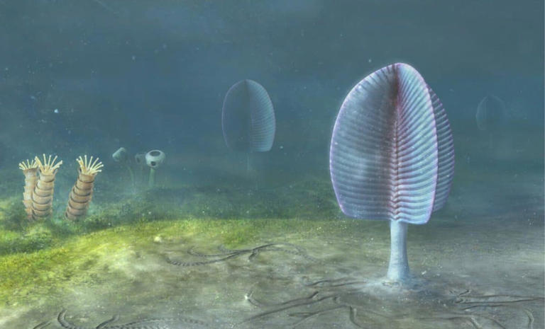 Paleontologists found perfectly preserved microfossils in Mongolia, but ...