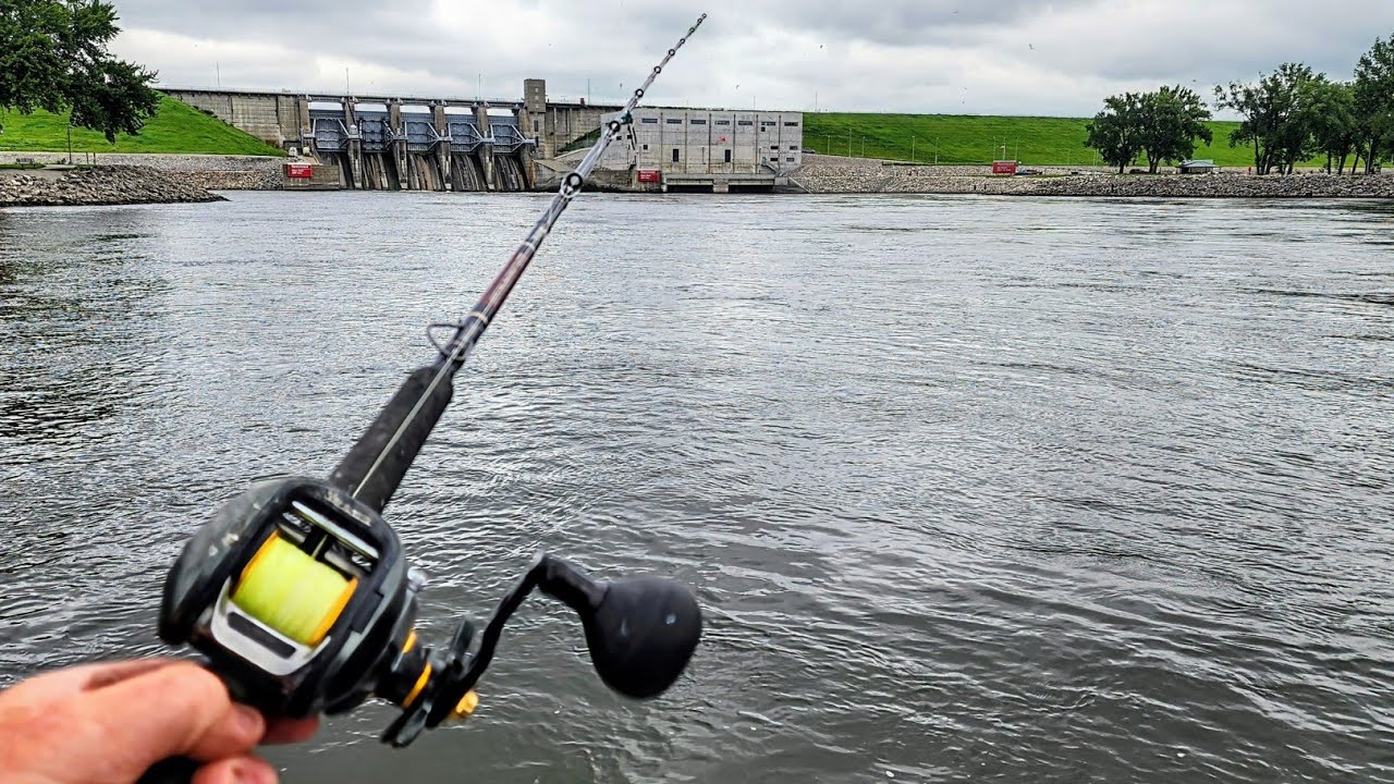 Bumping rod setup for big catfish