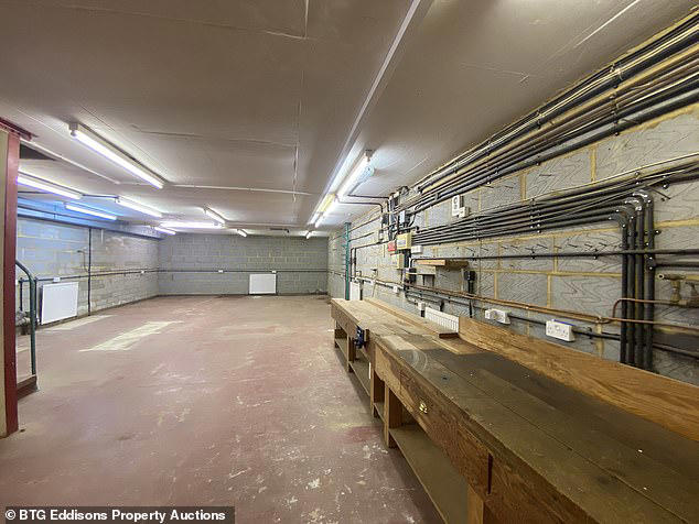Amazing home with underground tunnels hand-dug by previous owner goes ...