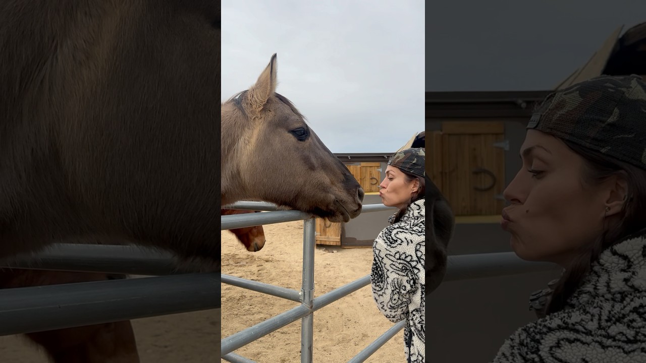 Before-and-after barn glow-up