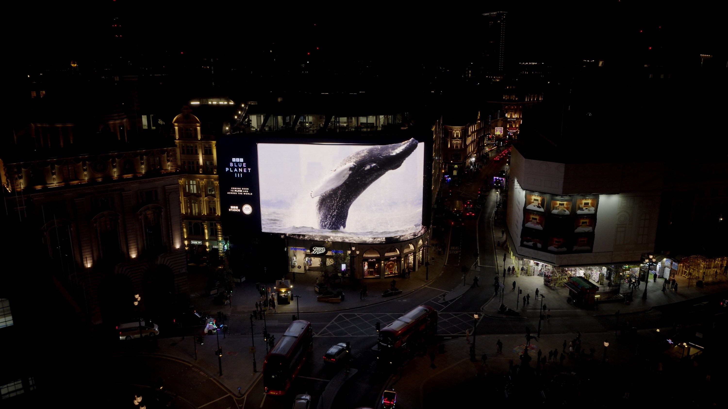 BBC 'Blue Planet III' trailer: Piccadilly Lights, blue carpet event
