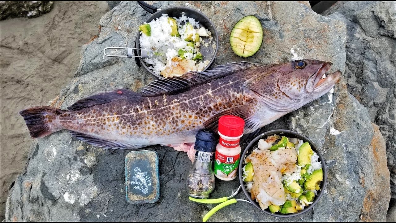 Catch and cook! Boiling rice - fish, avocado, and butter! So easy!
