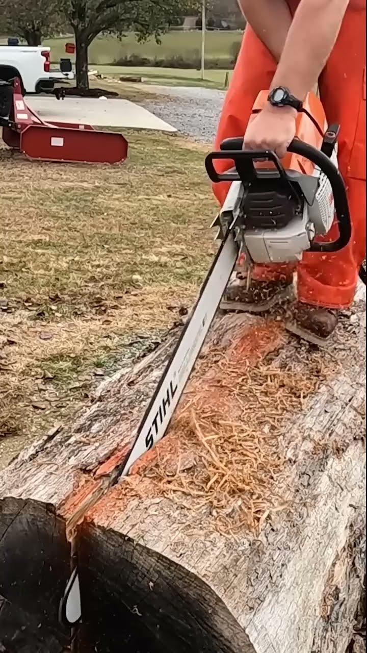 When a log is too big for the sawmill