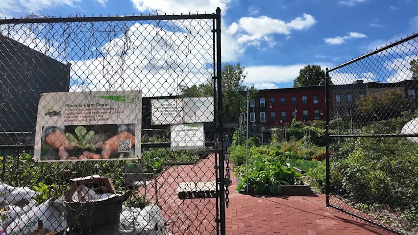 Rebuilding Brooklyn: Ocean Hill Community Garden gets revamp