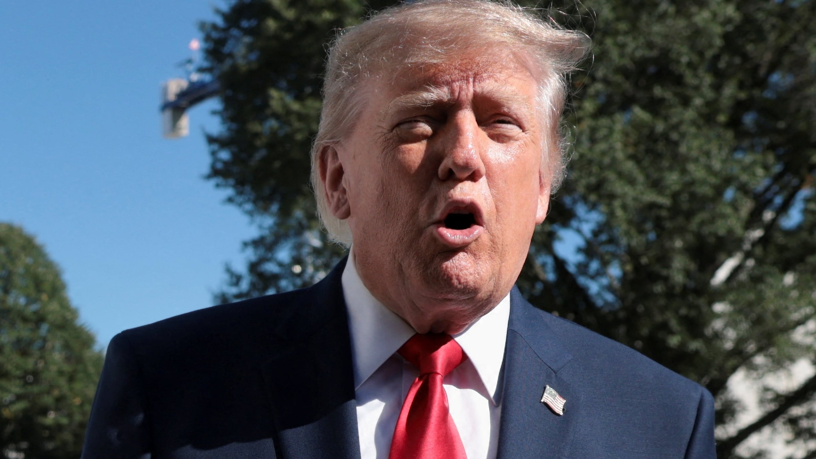 Trump hit with fresh call for 25th Amendment after wild offer