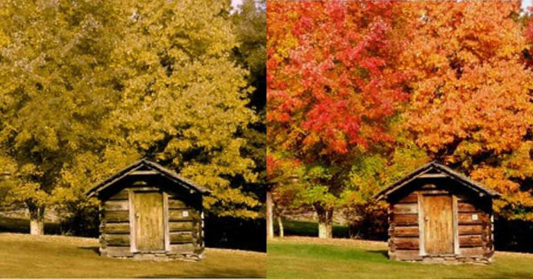 Viewfinders for colorblind visitors: Virginia state parks bring ...