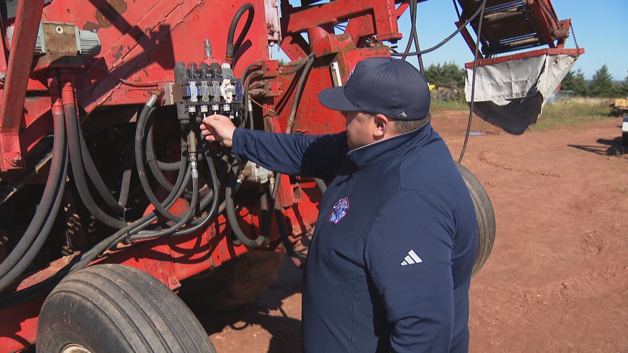 A rash of thefts and damage is costing Island farmers money and time ...