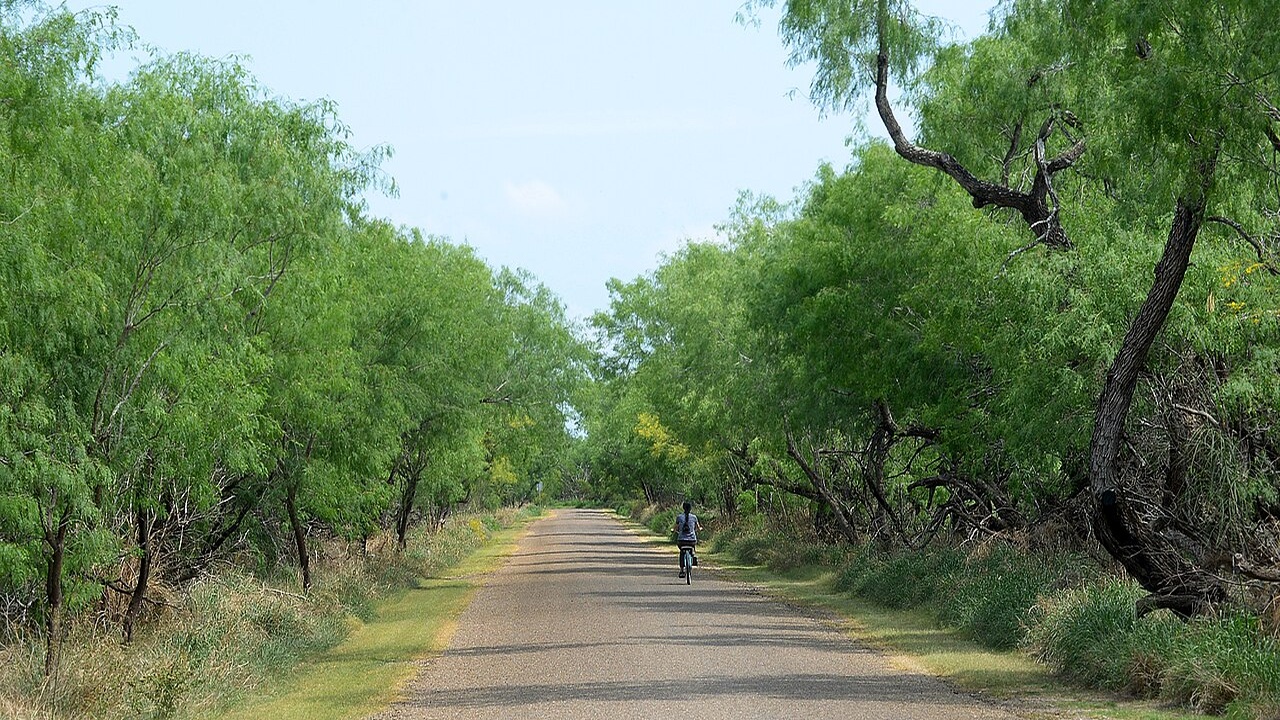 This Rio Grande park turns South Texas into a runway for Mexican birds