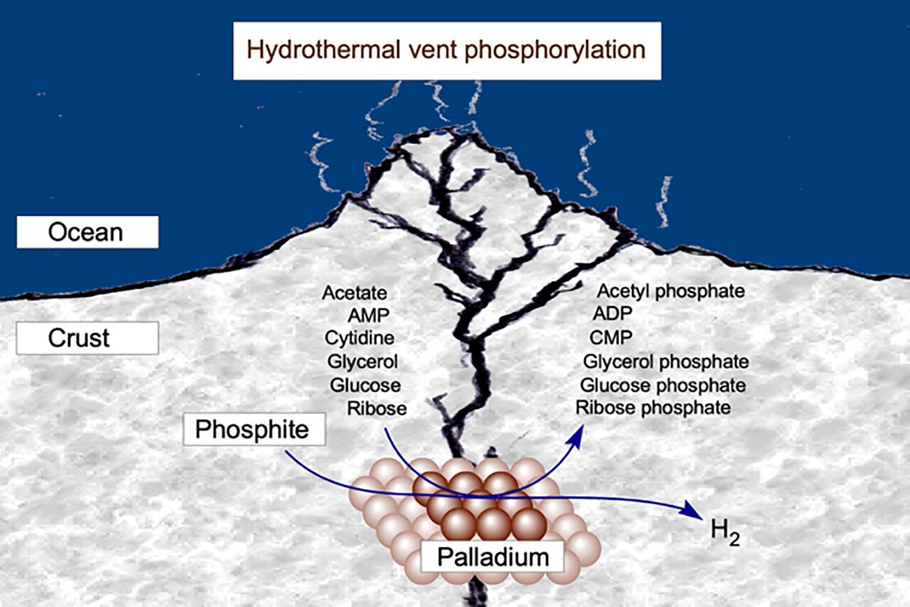 Hydrothermal vents supply a geochemical precursor of ATP that could ...