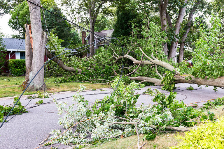 Hurricane Isaias could revive a name tied to a deadly tornado legacy