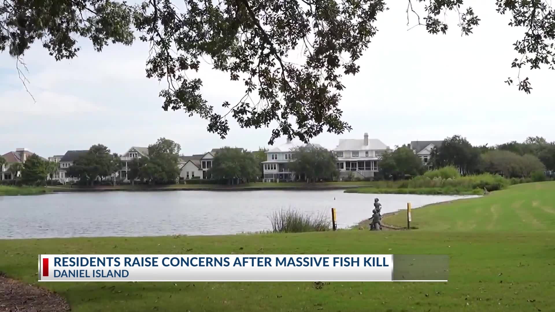 Daniel Island residents raise concerns after massive fish kill