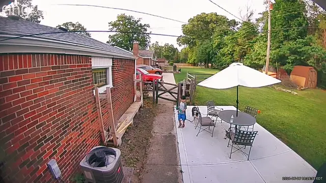 Backyard camera catches my son returning with the family dog
