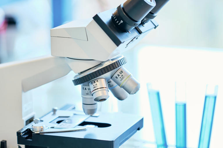 Russia says no plague case as experts raise bioweapons concern
