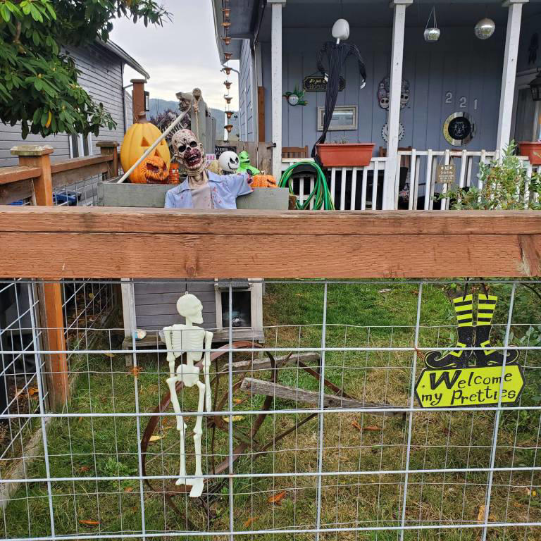 Get spooky and spooked this Halloween season