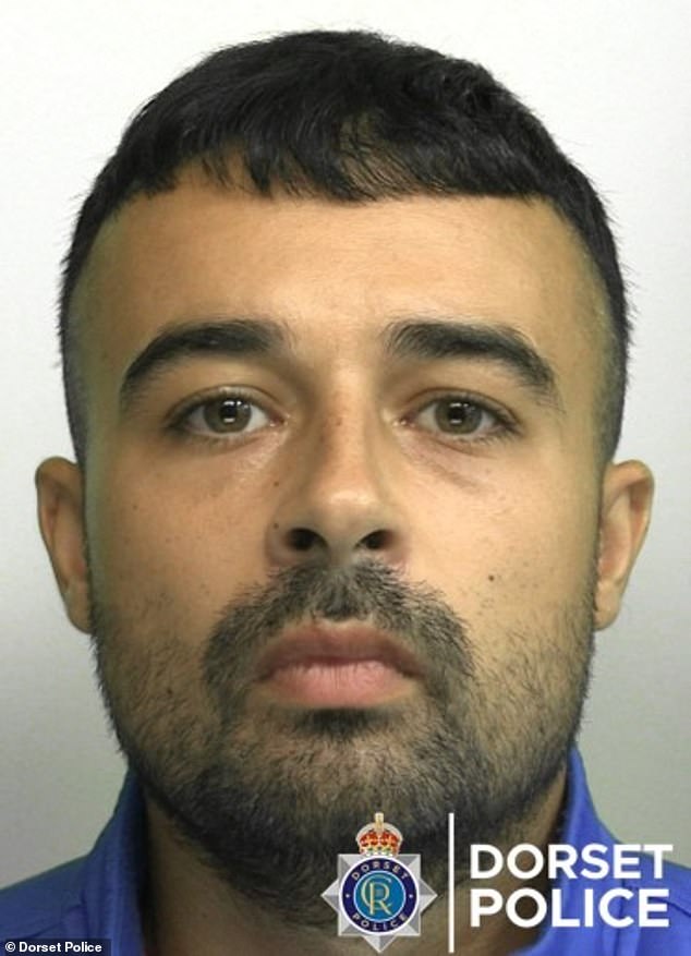 Boyfriend who flushed partner's rabbit down toilet in ten-month ...