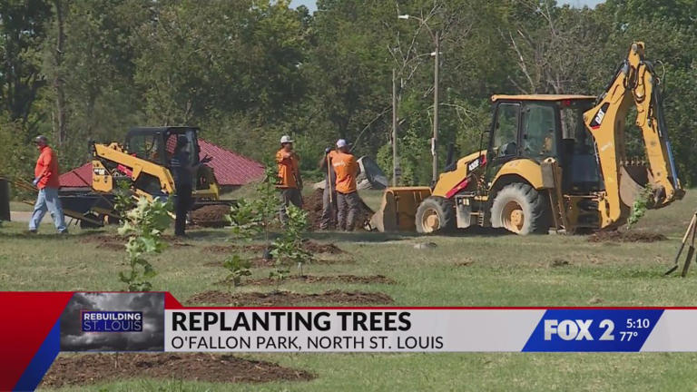 Spire volunteers plant new trees in tornado-ravaged O’Fallon Park