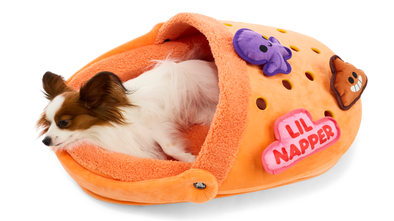 Crocs launches adorable dog bed and accessories line for pet parents