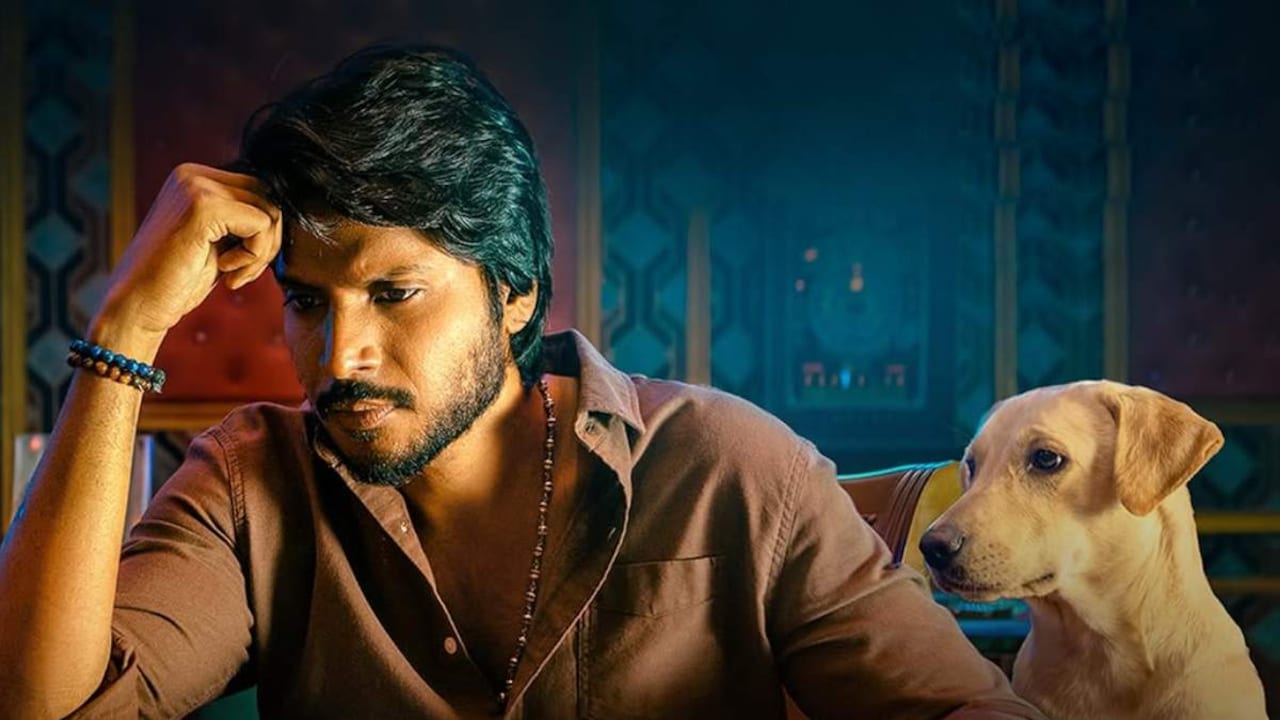 Sigma box office collection day 5: Vijay's son Jason Sanjay's ...