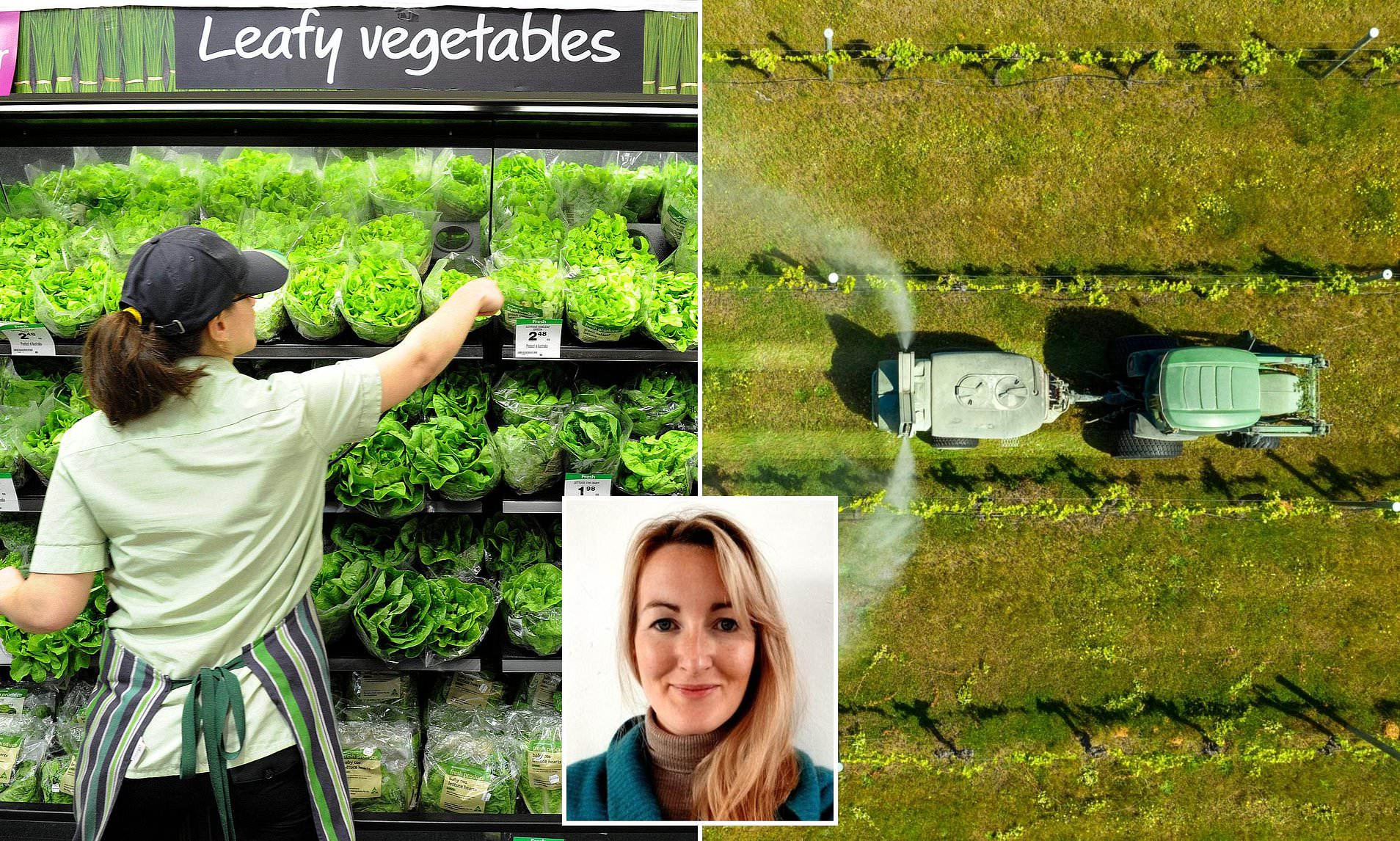 Alarming supermarket discovery as pesticides and forever chemicals are ...