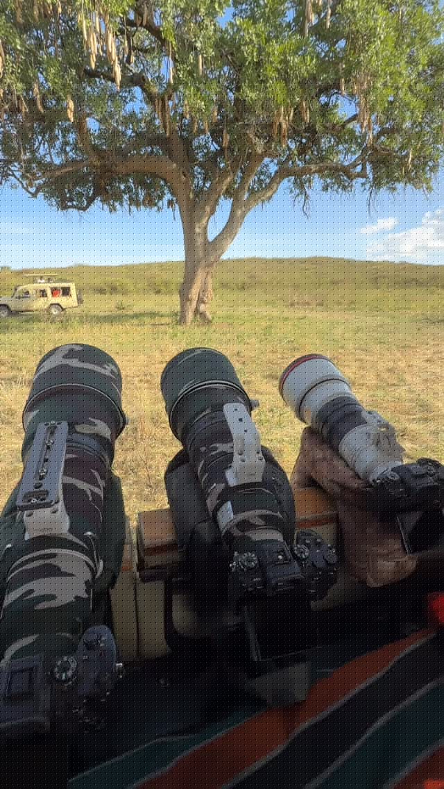What really happens during a wildlife photography shoot