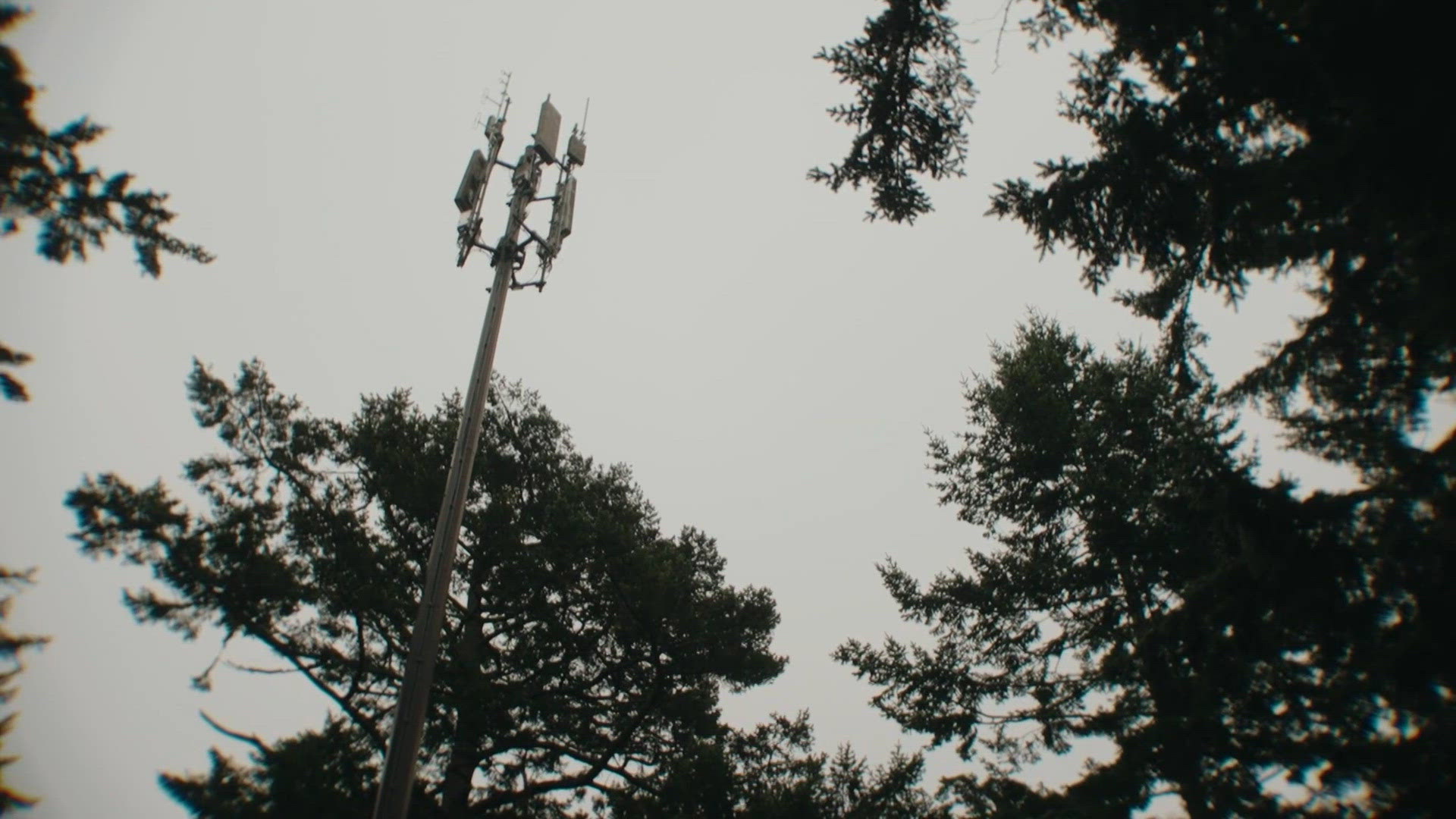 120-foot cell tower appears on couple's Friday Harbor property
