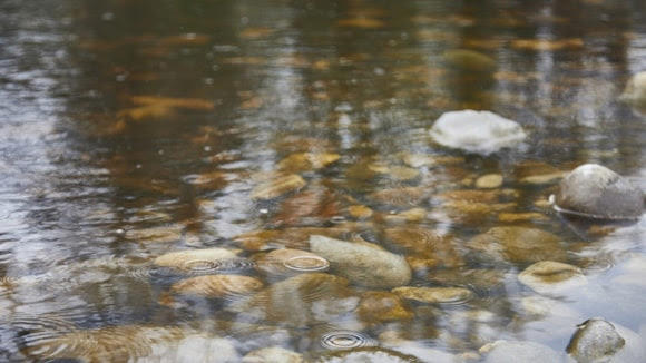 River Don water quality should improve with £6m Rotherham investment