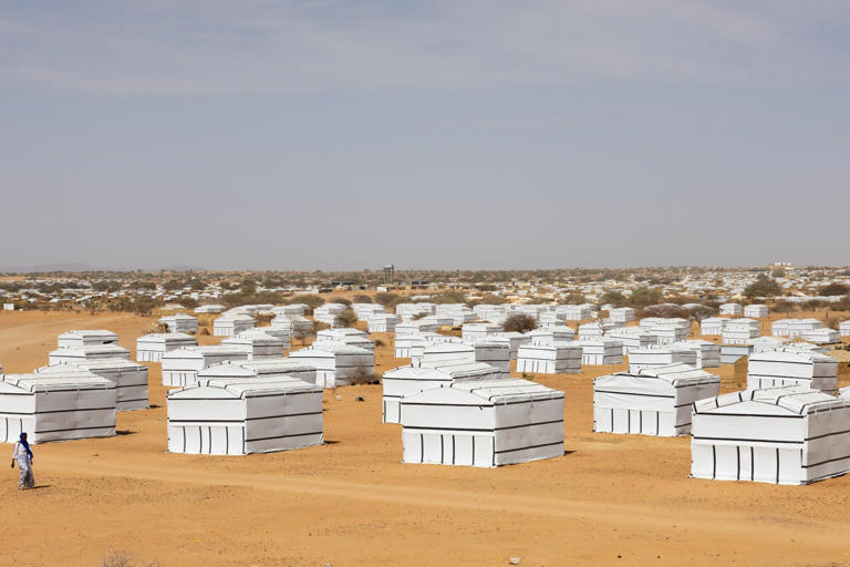 Young mothers dig graves for their children in Chad’s refugee camps