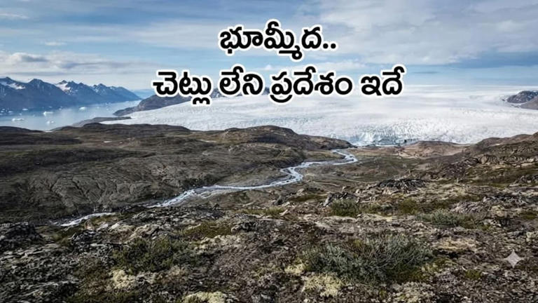 Interesting facts: ప్ర‌పంచంలో చెట్లు లేని దేశం ఏదో తెలుసా? అస‌లు కార‌ణం ...