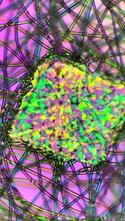 Face Mask Under The Microscope Before And After
