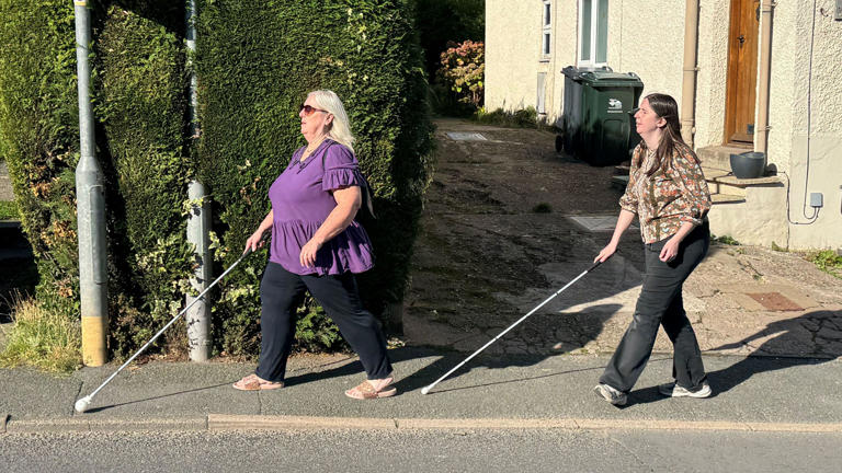 Allergies leave blind woman without guide dog