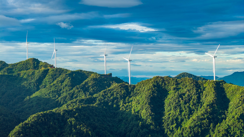 The biggest problems with wind farms could actually be their greatest ...