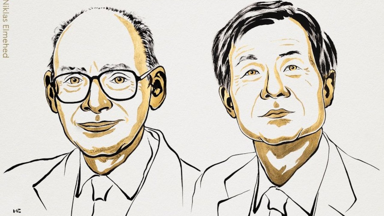 Henri Kagan, Kenso Soai awarded Nobel Prize in chemistry for work on ...