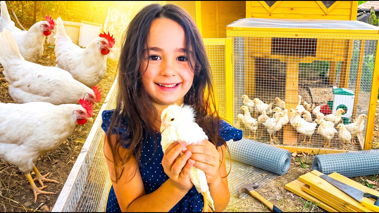 Building a predator-proof chicken coop extension | Raising chicks ...