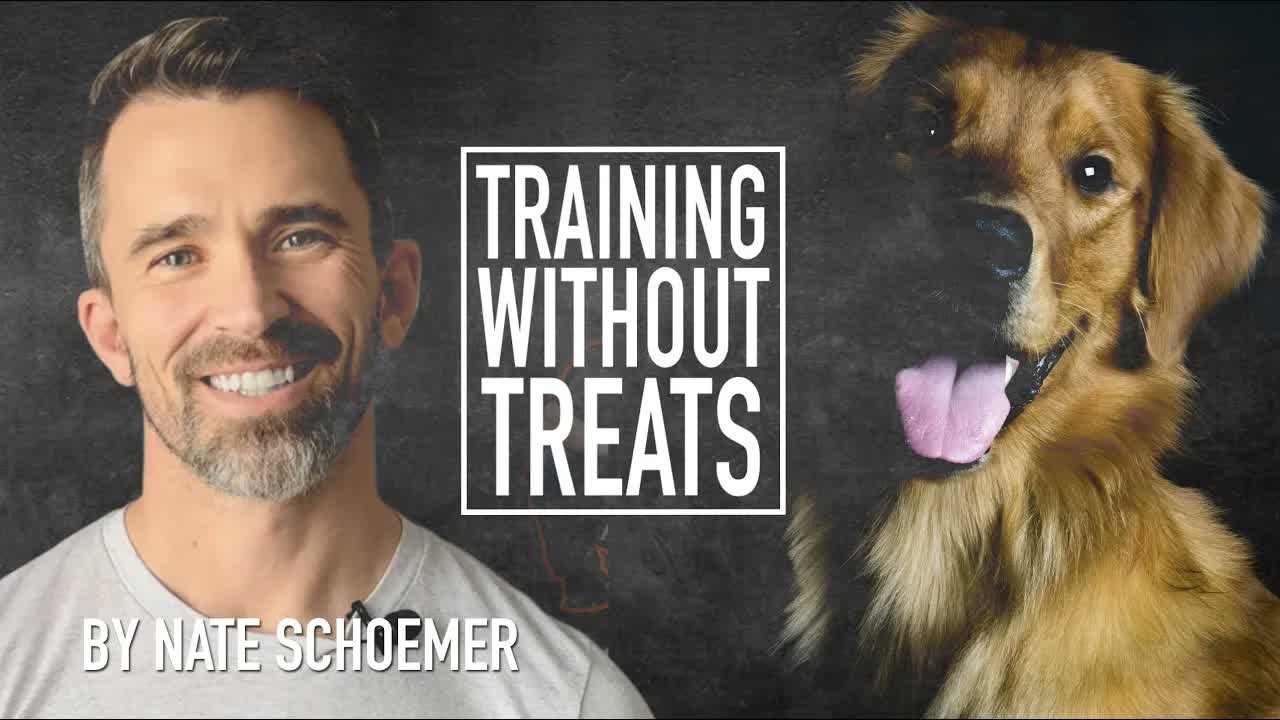 The step-by-step process to get your dog listening without relying on ...