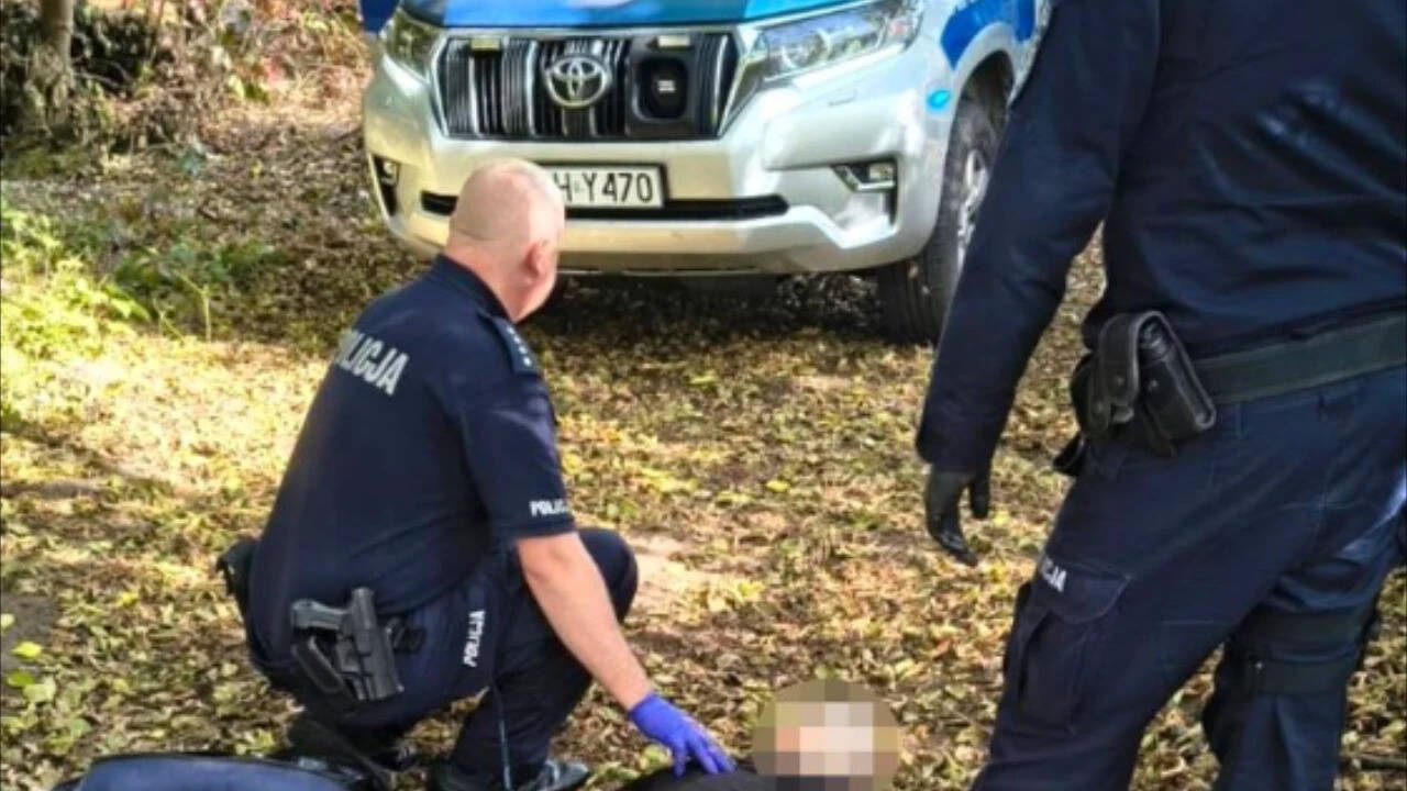 Seven injured in knife attack at Polish vocational school; student arrested