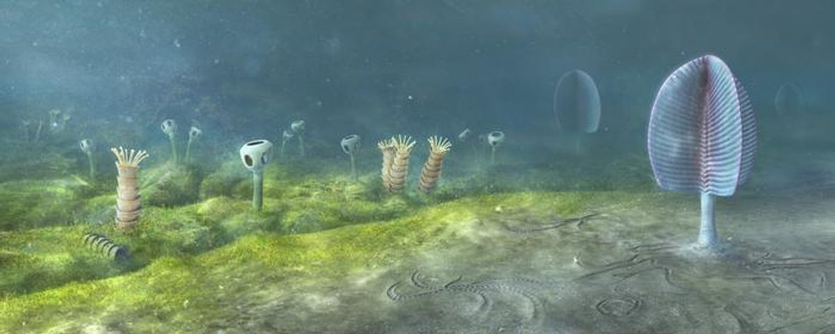 When did animals first evolve? New evidence from Mongolia suggests it ...