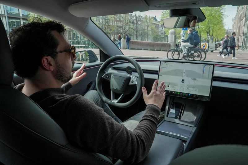 Musk welcomes German backing for Tesla driver assistance tech as group ...