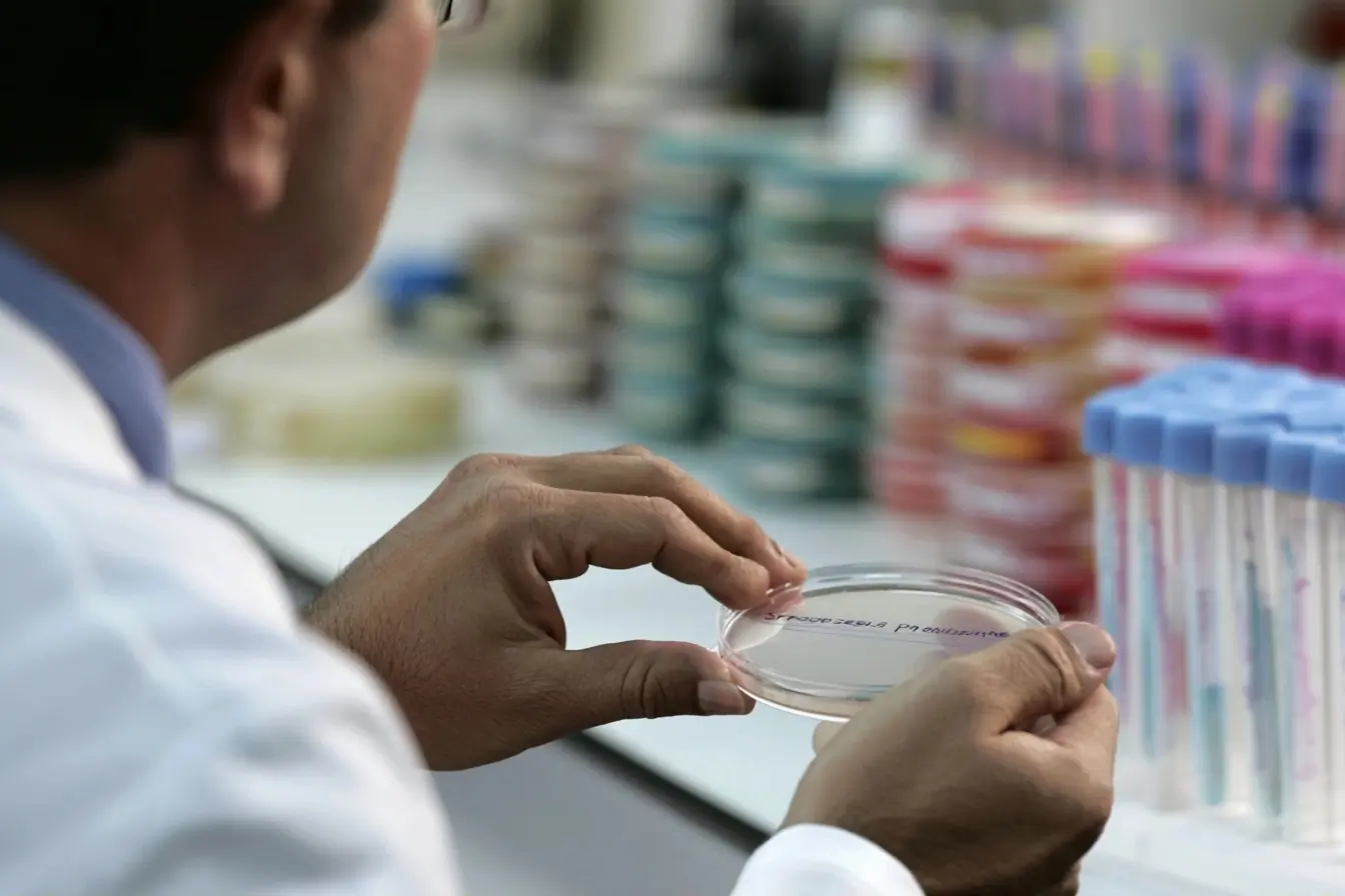 Méningite à pneumocoque, la voie d’infection pèse sur la survie