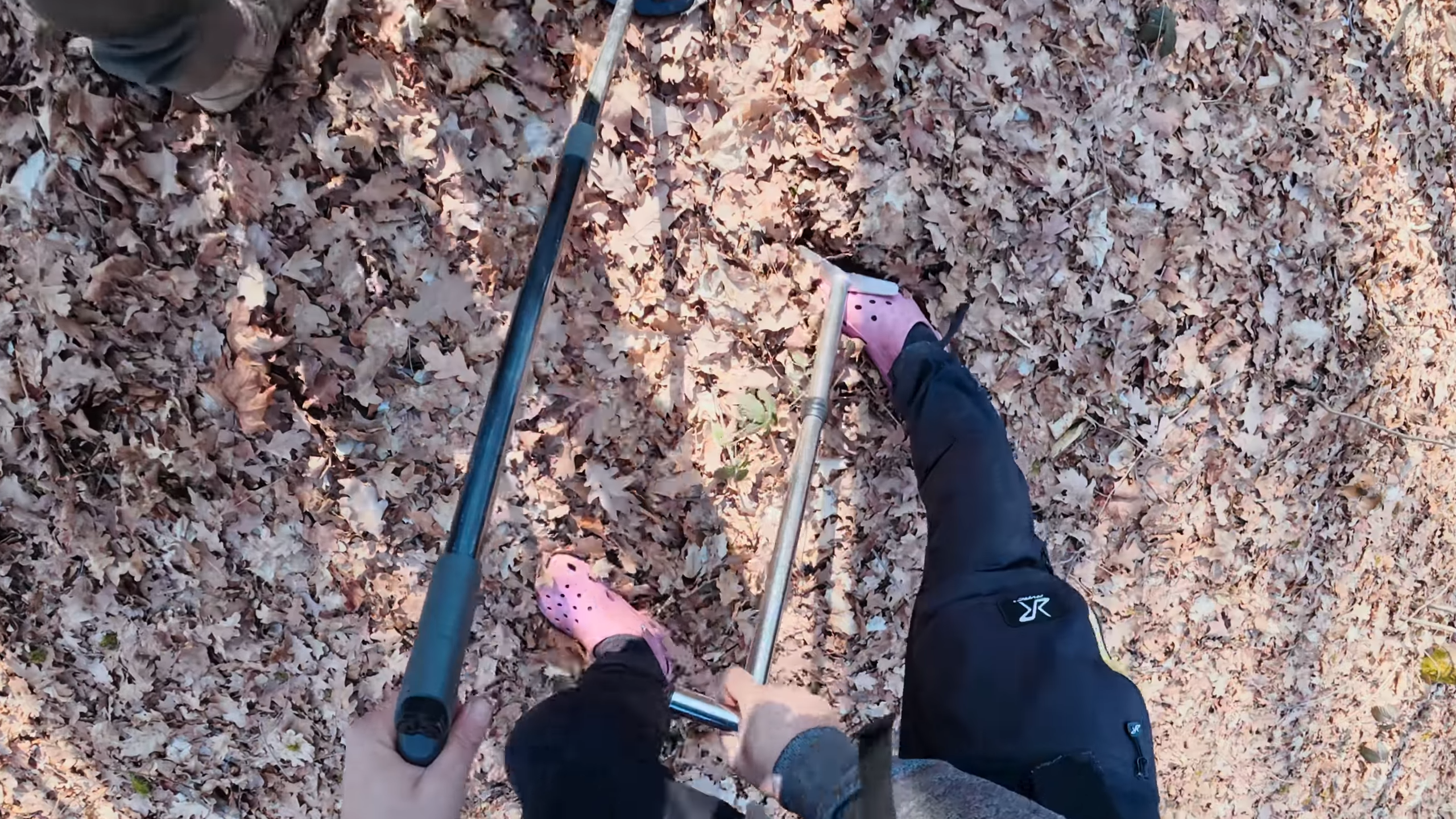 Sie dachten, sie hätten die Erlaubnis, diesen Wald abzusuchen... dann ...