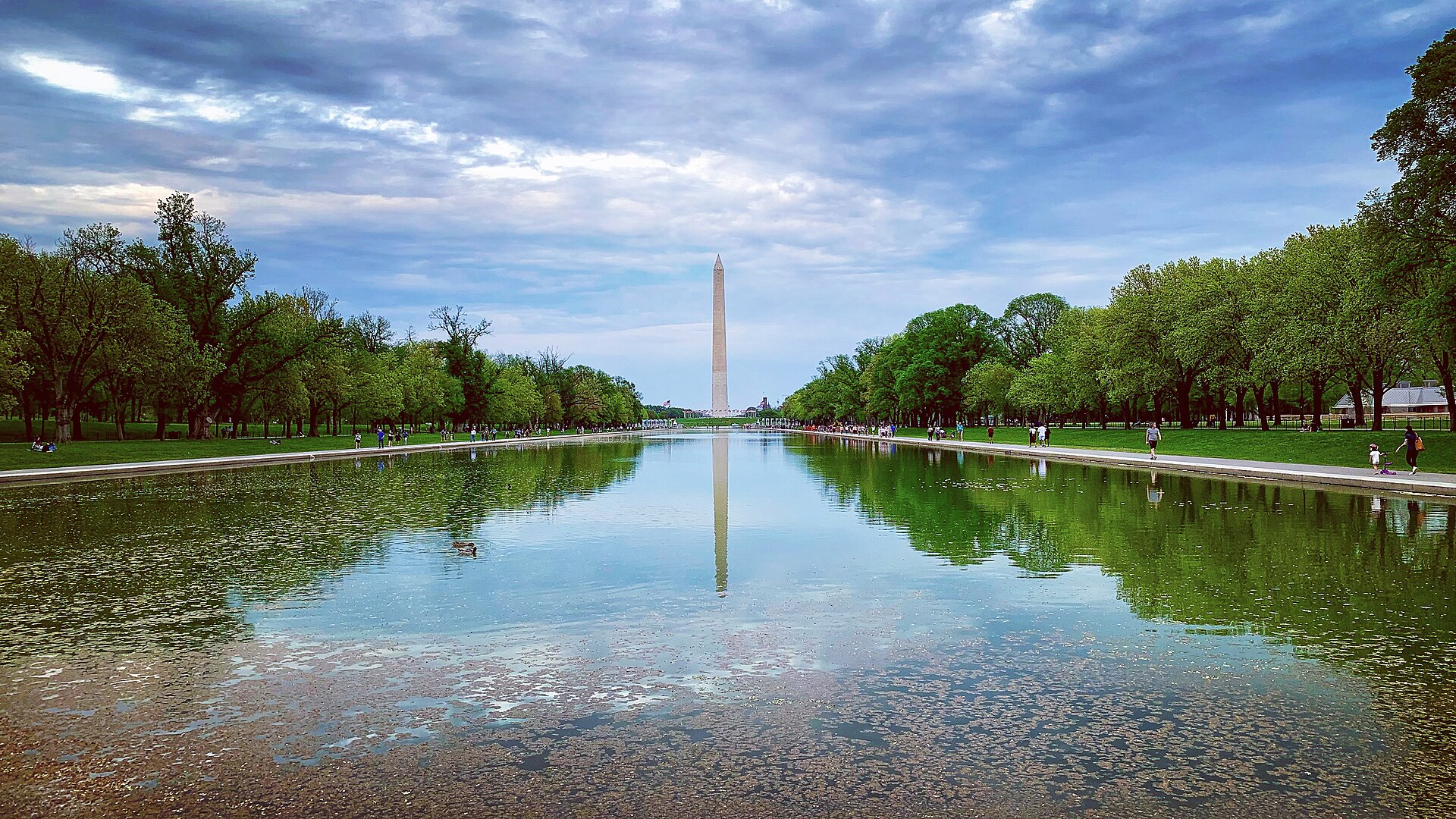 Trump says refilled reflecting pool returns this week after algae and ...