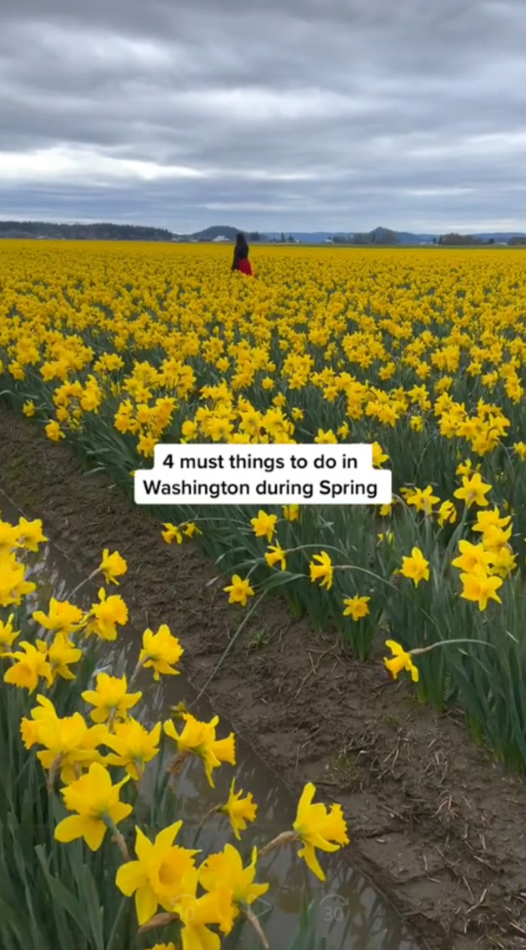 4 must try spring activities in Washington state