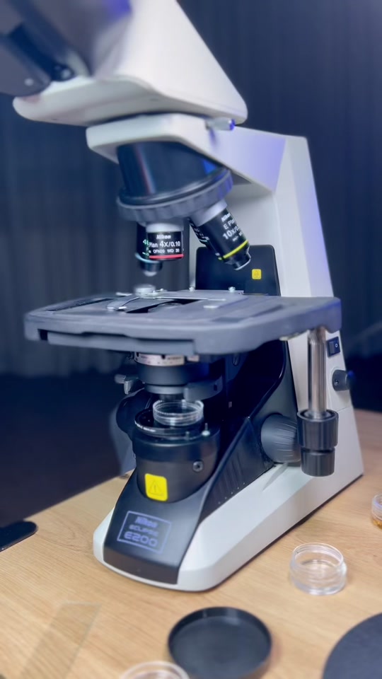 Bacteria vs caustic soda under microscope