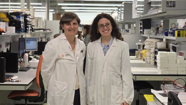 Detectan que alteraciones de Alzheimer aparecen en sangre antes de los ...