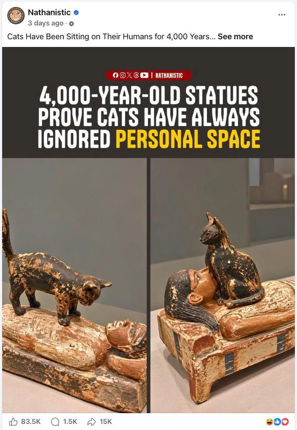 Images allegedly show ancient Egyptian sculptures with cats ignoring ...